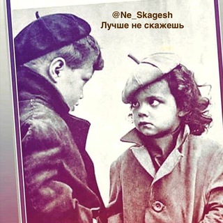 Логотип телеграм канала @ne_skagesh — Лучше не скажешь