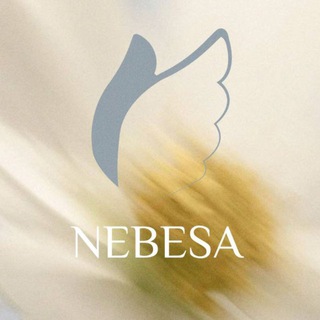 Логотип телеграм -каналу nebesa_ua — Nebesa