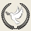 Логотип телеграм канала @nebesa147 — Единомышленник