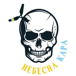 Логотип телеграм -каналу nebesna_kara_ukraine — НЕБЕСНА КАРА☠️🇺🇦