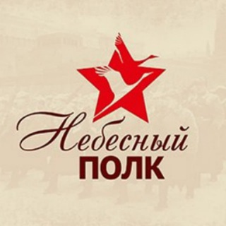 Логотип телеграм канала @nebesniypolk — Небесный полк