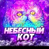 Логотип телеграм канала @nebesnykotiknew — ℕ𝕖besn𝕪☔𝙏𝙚𝙖𝙢🌃ⁿᵉʷ
