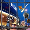 Логотип телеграм канала @nebo23_fgf — НОВОСТИ ТРК НЕБО