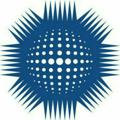 لوگوی کانال تلگرام nebosh — NEBOSH
