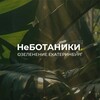 Логотип телеграм канала @nebotaniki_ekb — НеБОТАНИКИ.