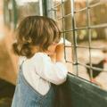 لوگوی کانال تلگرام nebraselkair — نِبرَآسُ الخَير.! 🦋