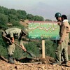 لوگوی کانال تلگرام nedaiisar1403 — شبکه خبری ایثارگران