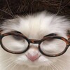 Логотип телеграм канала @nedarjaa — недарья