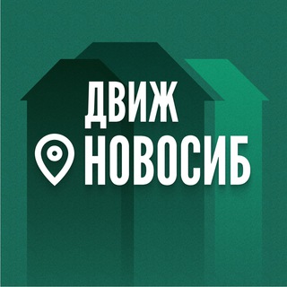 Логотип телеграм канала @nedviz_nsk — ДвижНедвижимости Новосиб