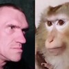 Логотип телеграм канала @need2feelit — Это надо чувствовать