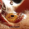 لوگوی کانال تلگرام neeegaah — نگاه