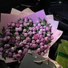 Лагатып тэлеграм-канала neetvoyaa — ⲙыᥴ᧘ᥙ..