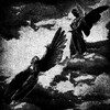 Логотип телеграм канала @neexeirr — neexeirr