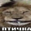 Логотип телеграм канала @neforkrab — НК