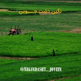 لوگوی کانال تلگرام negindasht_jovein — نگین دشت جوین
