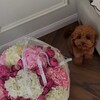 Логотип телеграм канала @negovoritemne — ser im