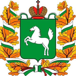 Логотип телеграм канала @negubernatore — Народный НЕ Губернатор