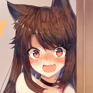 Логотип телеграм канала @nehvost — 🧡 Не фыр фыр [16 ]