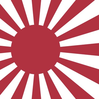 Логотип телеграм канала @neidh — Ультрасолевой строй