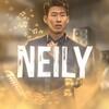 Logo of telegram channel neilystandoff — NEILY