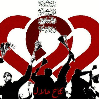 لوگوی کانال تلگرام nekahalal — ازدواج موقت نکاح حلال