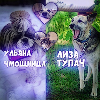 Логотип телеграм канала @nekanalll — 𑀝᧐δᥲчьᥙ ᥊ρᥱδᴛы💗👌