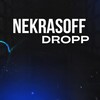 Логотип телеграм канала @nekrasoffdropp — NekrasoffDROPP. Дропшиппинг