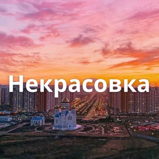 Логотип телеграм канала @nekrasovkaraion — Некрасовка