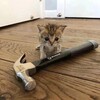 Логотип телеграм канала @nemaloy_hack — Малой бредит