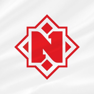 Логотип телеграм канала @nemigagg — Nemiga Gaming
