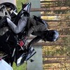 Логотип телеграм канала @nenarmalno — NENARMALNO