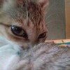 Логотип телеграм канала @nenazvaliii — неназвали