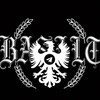 Логотип телеграм канала @neobasalt — Basaltcon | Degramap ownership