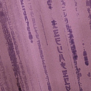 Логотип телеграм канала @neohuey — НеО