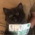 Логотип телеграм канала @neproebems — Здесь не проебут твои деньги! 🏆