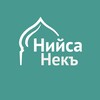 Логотип телеграм канала @neq_niysa — Нийса некъ