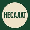 Логотип телеграм канала @nesalad — НеСалат