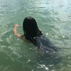 Логотип телеграм канала @nesiscupoflife — по моему хотению