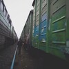 Логотип телеграм канала @nesmo_one — Nesmo