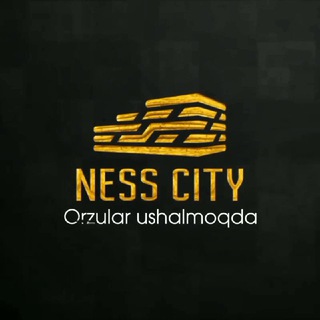 Telegram channel Ness City logo