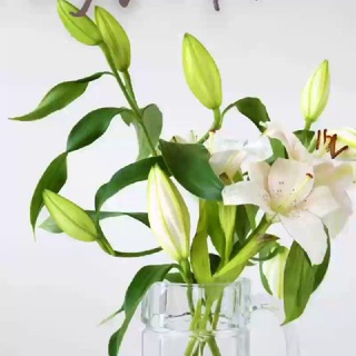 Логотип телеграм канала @netfermer — Нетфермер стори