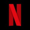 Logo of telegram channel netflixidandpasswor — Netflix id and password