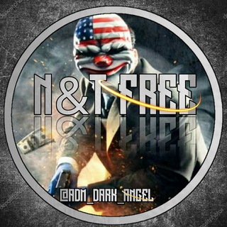 Logo of telegram channel netfree_4g_br — ™√•N&T FREE BR•√™