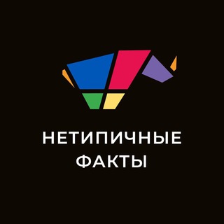Логотип телеграм канала @netipich — НЕтипичные факты