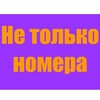 Логотип телеграм канала @netolkonomera — Не только номера