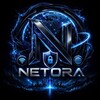 لوگوی کانال تلگرام netora_connect — Netora connect