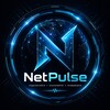Логотип телеграм канала @netpulse1337 — NetPulse