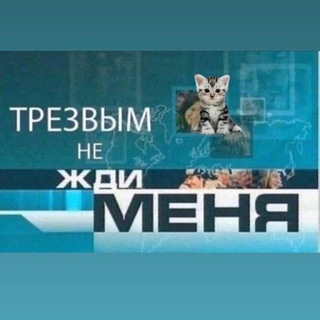 Логотип телеграм канала @netrezvii — Трезвым меня не жди