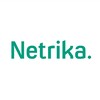 Логотип телеграм канала @netrika_outstaffing — Netrika. Запрос на аутстаффинг