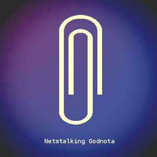 Логотип телеграм канала @netstalking_godnota — Netstalking Godnota